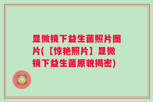 显微镜下益生菌照片图片(【惊艳照片】显微镜下益生菌原貌揭密) 显微镜下益生菌照片图片(【惊艳照片】显微镜下益生菌原貌揭密)