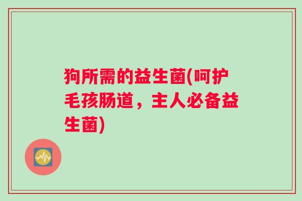 狗所需的益生菌(呵护毛孩肠道,主人必备益生菌) 狗所需的益生菌(呵护毛孩肠道,主人必备益生菌)