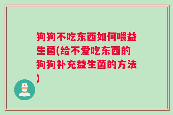 狗狗不吃东西如何喂益生菌(给不爱吃东西的狗狗补充益生菌的方法)