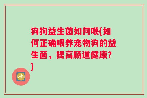 狗狗益生菌如何喂(如何正确喂养宠物狗的益生菌，提高肠道健康？)