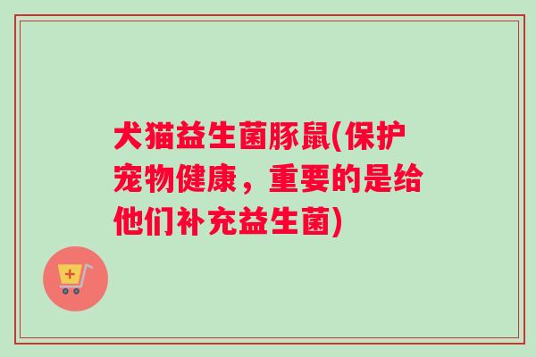 犬猫益生菌豚鼠(保护宠物健康，重要的是给他们补充益生菌)