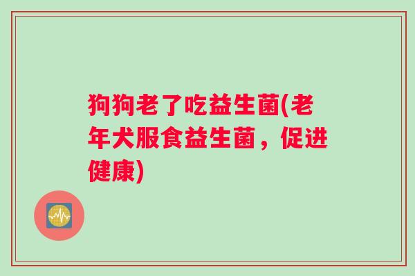狗狗老了吃益生菌(老年犬服食益生菌，促进健康)