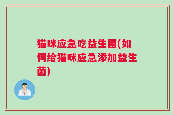 猫咪应急吃益生菌(如何给猫咪应急添加益生菌)