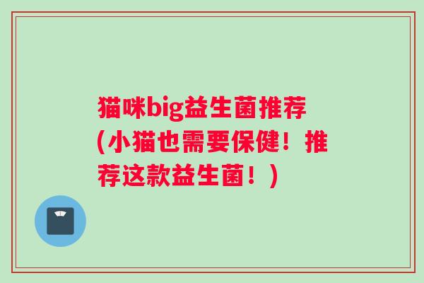 猫咪big益生菌推荐(小猫也需要保健!推荐这款益生菌!) 猫咪big益生菌推荐(小猫也需要保健!推荐这款益生菌!)