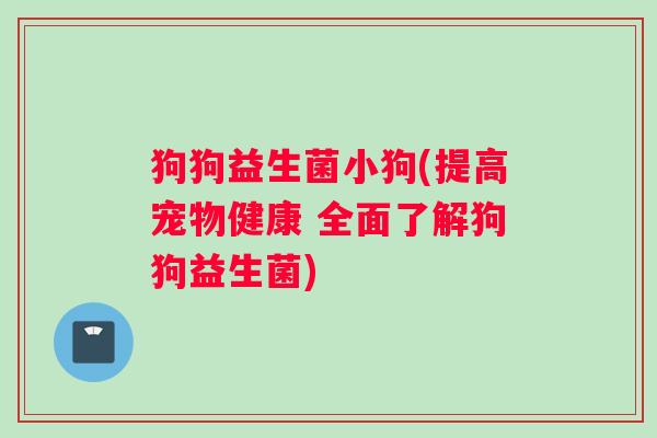 狗狗益生菌小狗(提高宠物健康 全面了解狗狗益生菌)