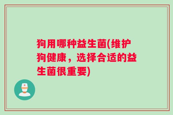 狗用哪种益生菌(维护狗健康，选择合适的益生菌很重要)
