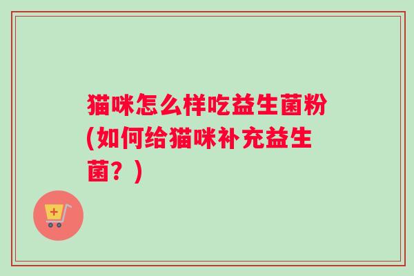 猫咪怎么样吃益生菌粉(如何给猫咪补充益生菌?) 猫咪怎么样吃益生菌粉(如何给猫咪补充益生菌?)