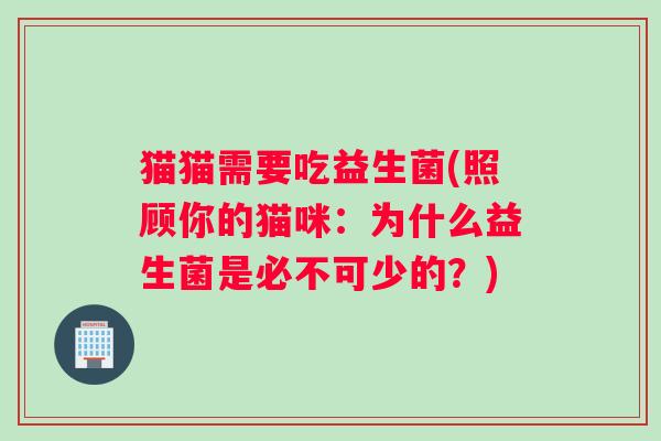 猫猫需要吃益生菌(照顾你的猫咪：为什么益生菌是必不可少的？)