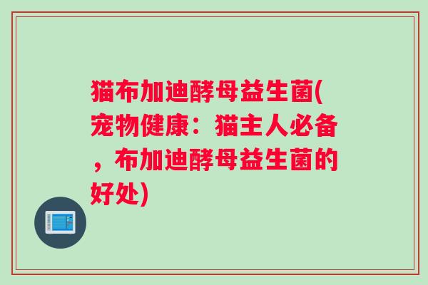 猫布加迪酵母益生菌(宠物健康：猫主人必备，布加迪酵母益生菌的好处)