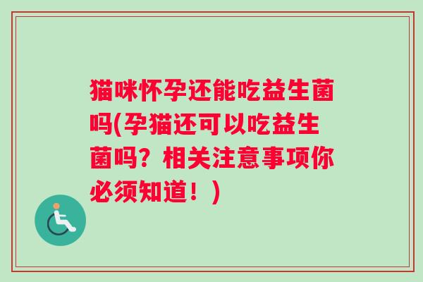 猫咪怀孕还能吃益生菌吗(孕猫还可以吃益生菌吗？相关注意事项你必须知道！)