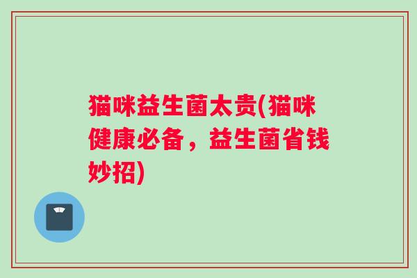 猫咪益生菌太贵(猫咪健康必备，益生菌省钱妙招)