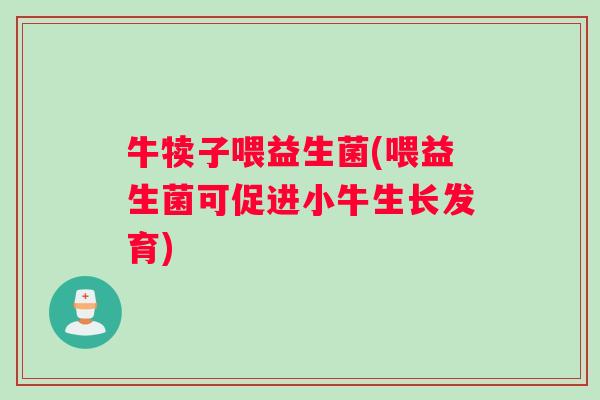 牛犊子喂益生菌(喂益生菌可促进小牛生长发育)