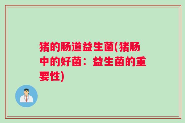 猪的肠道益生菌(猪肠中的好菌：益生菌的重要性)
