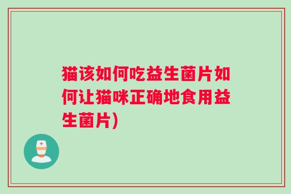 猫该如何吃益生菌片如何让猫咪正确地食用益生菌片)