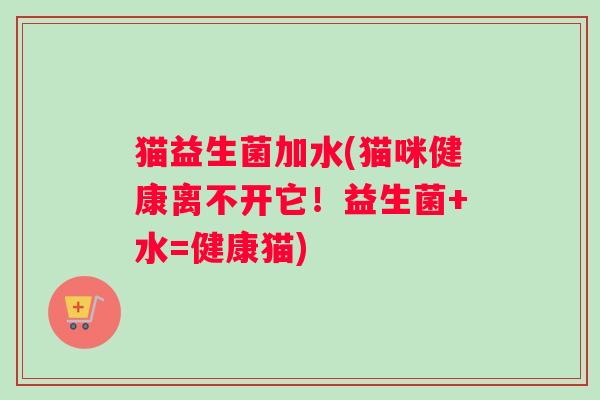 猫益生菌加水(猫咪健康离不开它！益生菌+水=健康猫)