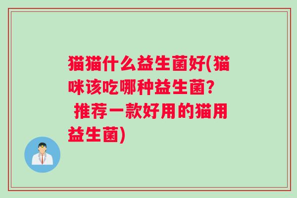 猫猫什么益生菌好(猫咪该吃哪种益生菌？  推荐一款好用的猫用益生菌)