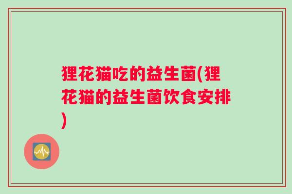狸花猫吃的益生菌(狸花猫的益生菌饮食安排)