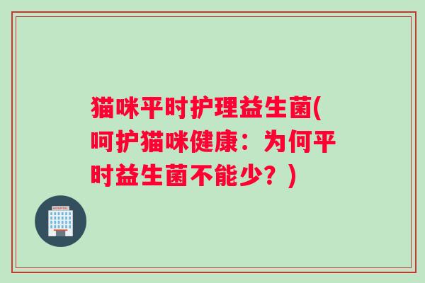猫咪平时护理益生菌(呵护猫咪健康：为何平时益生菌不能少？)