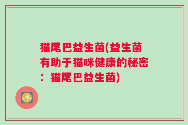 猫尾巴益生菌(益生菌有助于猫咪健康的秘密：猫尾巴益生菌)