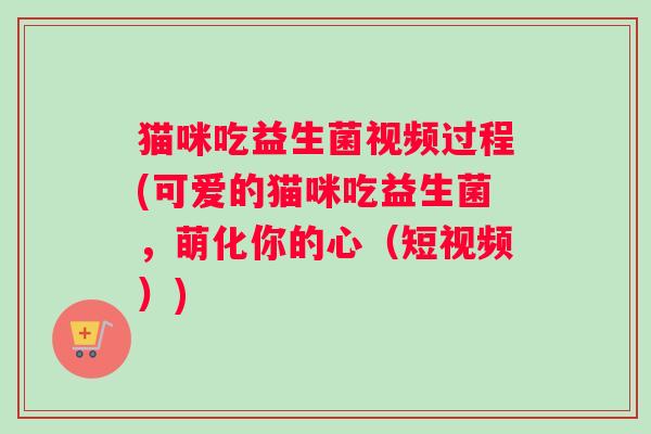 猫咪吃益生菌视频过程(可爱的猫咪吃益生菌，萌化你的心（短视频）)