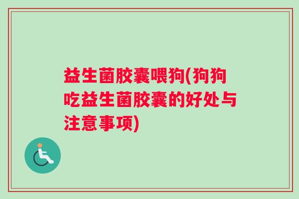 益生菌胶囊喂狗(狗狗吃益生菌胶囊的好处与注意事项)