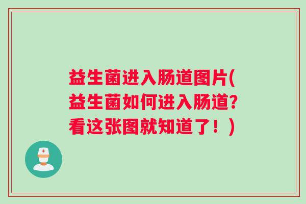 益生菌进入肠道图片(益生菌如何进入肠道？看这张图就知道了！)