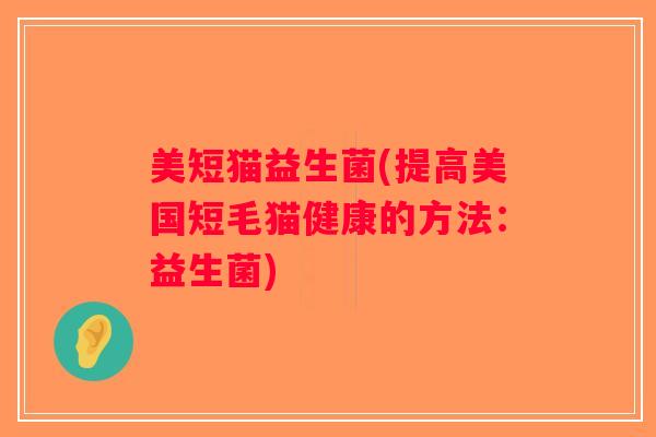 美短猫益生菌(提高美国短毛猫健康的方法：益生菌)