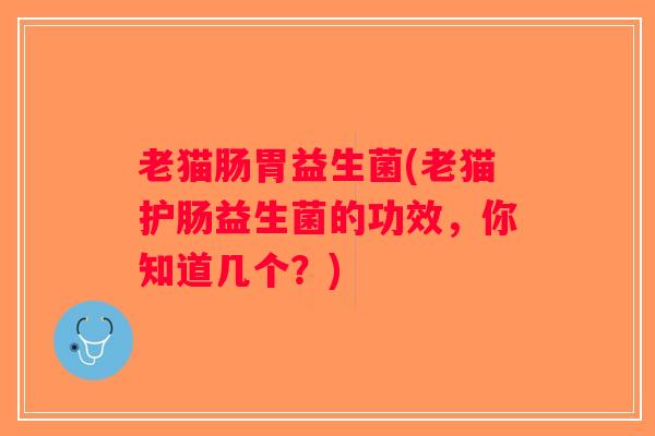 老猫肠胃益生菌(老猫护肠益生菌的功效，你知道几个？)