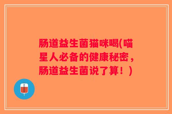 肠道益生菌猫咪喝(喵星人必备的健康秘密，肠道益生菌说了算！)