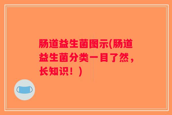 肠道益生菌图示(肠道益生菌分类一目了然，长知识！)