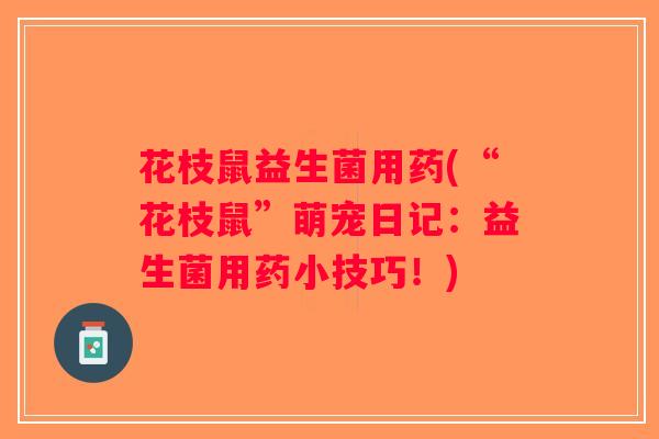 花枝鼠益生菌用药(“花枝鼠”萌宠日记：益生菌用药小技巧！)