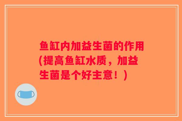 鱼缸内加益生菌的作用(提高鱼缸水质,加益生菌是个好主意!) 鱼缸内加益生菌的作用(提高鱼缸水质,加益生菌是个好主意!)