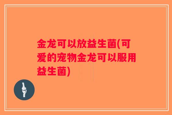 金龙可以放益生菌(可爱的宠物金龙可以服用益生菌) 金龙可以放益生菌(可爱的宠物金龙可以服用益生菌)