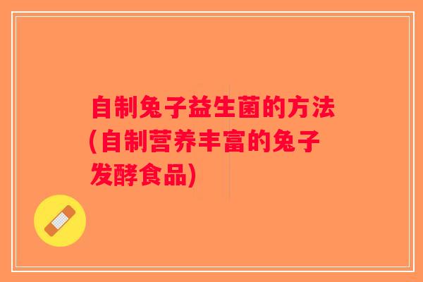 自制兔子益生菌的方法(自制营养丰富的兔子发酵食品)