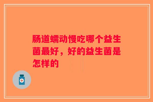 肠道蠕动慢吃哪个益生菌最好，好的益生菌是怎样的