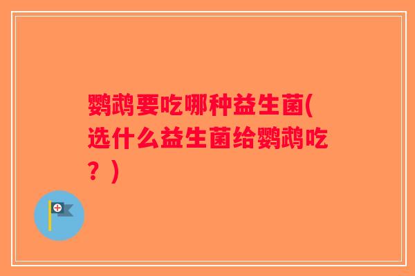 鹦鹉要吃哪种益生菌(选什么益生菌给鹦鹉吃？)