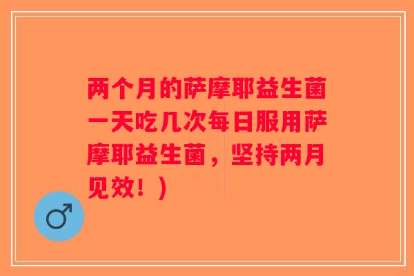 两个月的萨摩耶益生菌一天吃几次每日服用萨摩耶益生菌，坚持两月见效！)