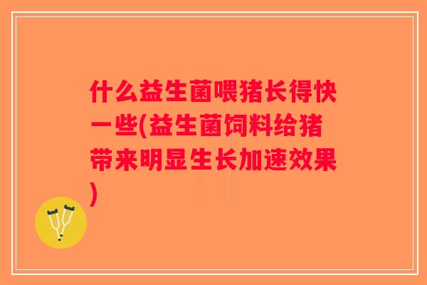 什么益生菌喂猪长得快一些(益生菌饲料给猪带来明显生长加速效果)