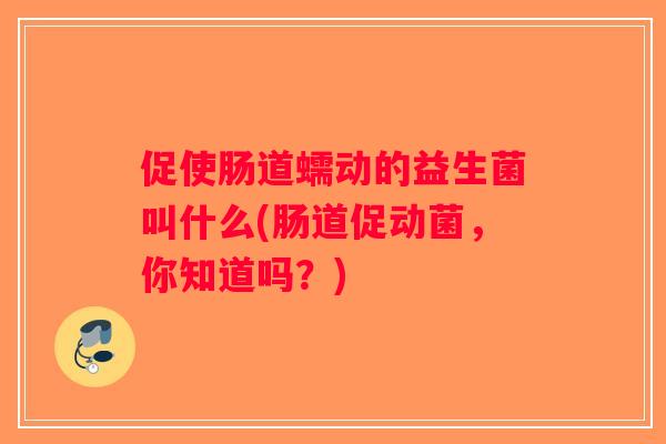 促使肠道蠕动的益生菌叫什么(肠道促动菌，你知道吗？)