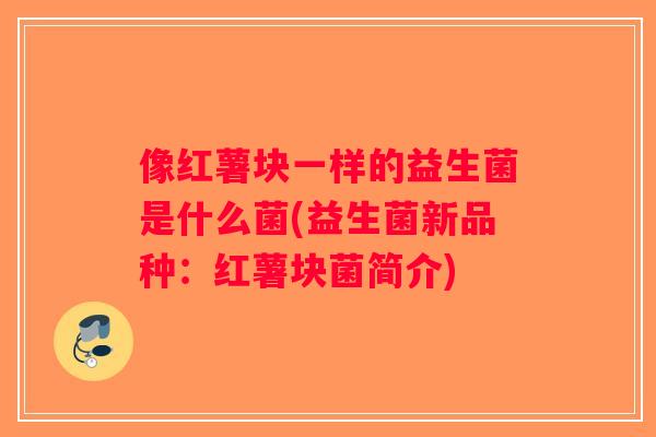 像红薯块一样的益生菌是什么菌(益生菌新品种：红薯块菌简介)
