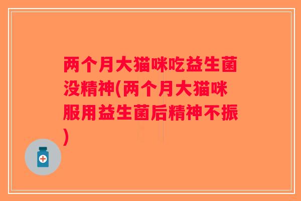 两个月大猫咪吃益生菌没精神(两个月大猫咪服用益生菌后精神不振)