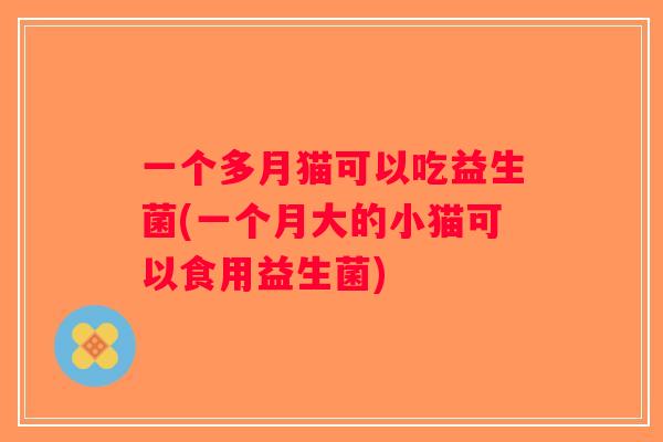 一个多月猫可以吃益生菌(一个月大的小猫可以食用益生菌)