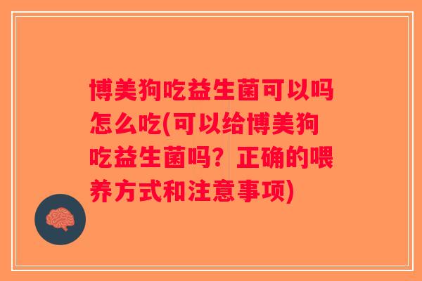 博美狗吃益生菌可以吗怎么吃(可以给博美狗吃益生菌吗？正确的喂养方式和注意事项)