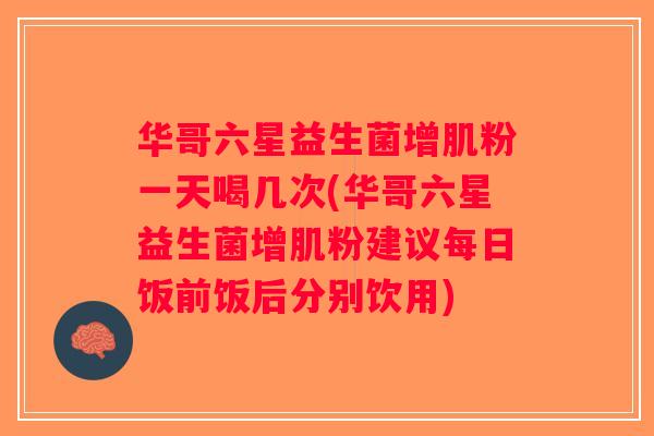 华哥六星益生菌增肌粉一天喝几次(华哥六星益生菌增肌粉建议每日饭前饭后分别饮用)