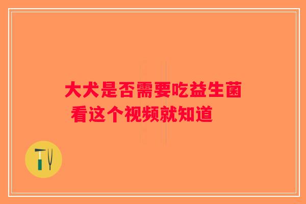 大犬是否需要吃益生菌 看这个视频就知道