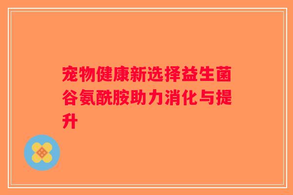 宠物健康新选择益生菌谷氨酰胺助力消化与提升