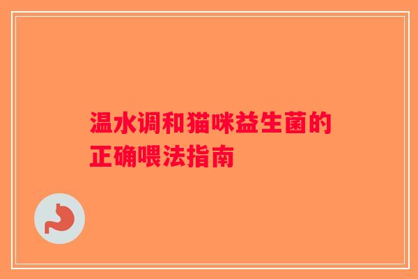 温水调和猫咪益生菌的正确喂法指南