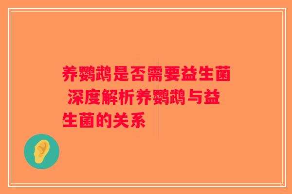 养鹦鹉是否需要益生菌 深度解析养鹦鹉与益生菌的关系 养鹦鹉是否需要益生菌 深度解析养鹦鹉与益生菌的关系