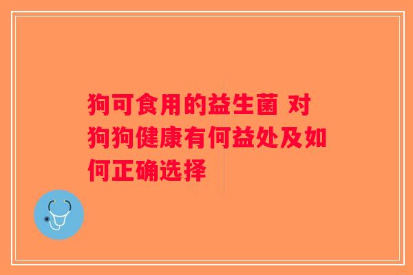 狗可食用的益生菌 对狗狗健康有何益处及如何正确选择
