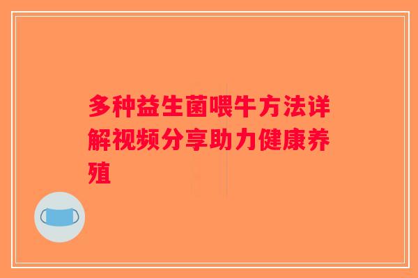 多种益生菌喂牛方法详解视频分享助力健康养殖